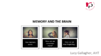 How Memory Works