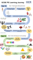 GCSE PE Learning Journey (Years 10 & 11)