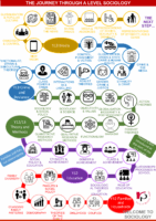 Sociology Learning Journey